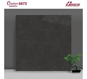 Gạch lát nền Catalan 6673 - 60x60