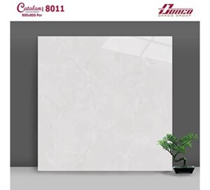 Gạch lát nền Catalan 8011 - 80x80