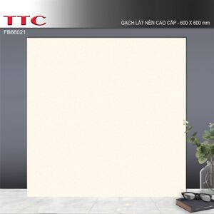 Gạch lát nền ceramic TTC FB66021