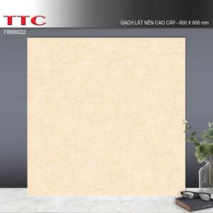 Gạch lát nền ceramic TTC FB66022