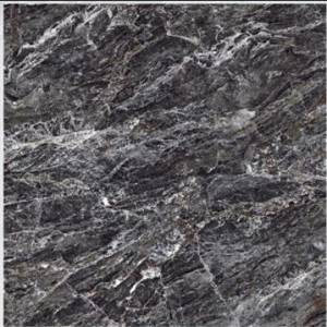 Gạch lát nền CMC LX 8819