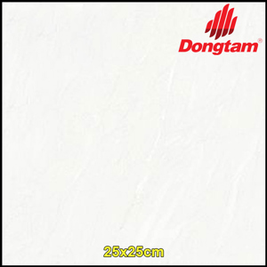 Gạch lát nền Đồng tâm 2525TAMDAO001 - 25x25