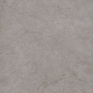 Gạch lát nền Đồng tâm 2525VENUS005 - 25x25
