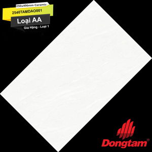 Gạch lát nền Đồng tâm 2540TAMDAO001 - 25x40