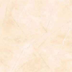 Gạch lát nền Đồng Tâm 3030ROME002