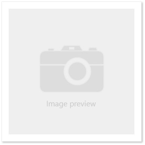 Gạch lát nền Đồng Tâm 4080GECKO001
