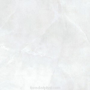 Gạch lát nền Đồng tâm 40x40 483