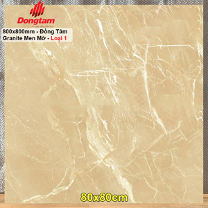 Gạch lát nền Đồng Tâm 8080ROME001