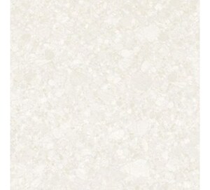 Gạch lát nền Đồng Tâm DTD6060TRUONGSON004-FP - 60x60