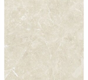 Gạch lát nền Đồng Tâm DTD6060TRUONGSON005-FP - 60x60