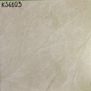 Gạch lát nền giá rẻ 60x60 KS6103