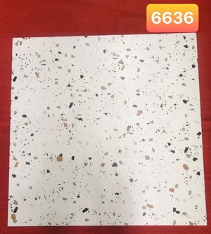 Gạch lát nền giả Terrazzo 60x60cm 6636