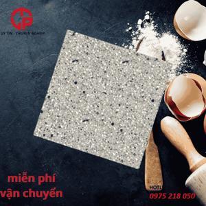 Gạch lát nền giả Terrazzo CMC GX6811