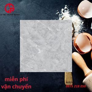 Gạch lát nền granite giả đá Viglacera TB 809