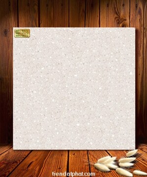 Gạch lát nền Granite Trung Đô MH6672 -60x60