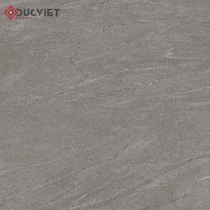 Gạch lát nền granite Viglacera TM 802