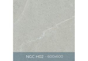 Gạch lát nền men khô Eurotile Nguyệt Cát NGC H02