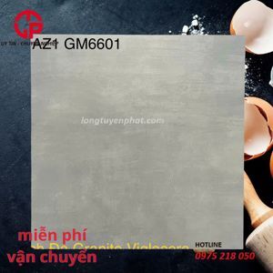 Gạch lát nền men matt Arizona AZ1-GM6601