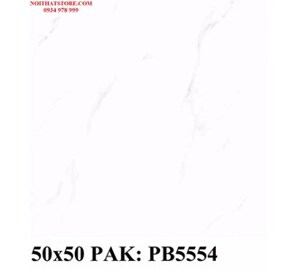 Gạch lát nền PAK-PB5554