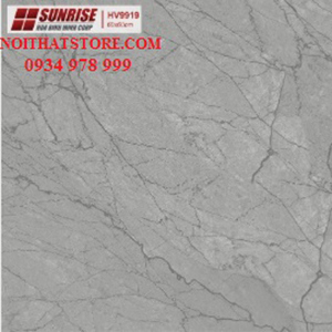 Gạch lát nền Sunrise 60x60 HV 9919