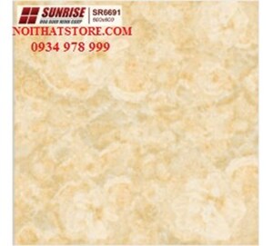 Gạch lát nền Sunrise 60x60 SR6691