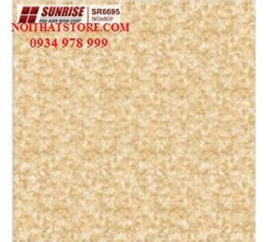 Gạch lát nền Sunrise 60x60 SR6695