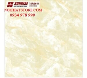 Gạch lát nền Sunrise 60x60 SR6611