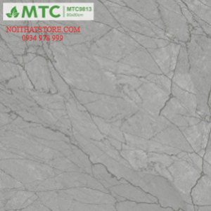 Gạch lát nền Sunrise 80×80 MTC9813