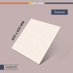 Gạch lát nền Taicera 60×60 G68005