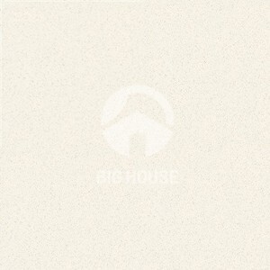 Gạch lát nền Taicera 60×60 G68005