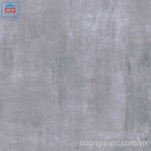 Gạch lát nền Taicera 60×60 G68928