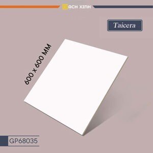 Gạch lát nền Taicera 60×60 GP68035