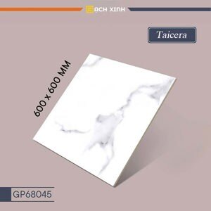 Gạch lát nền Taicera 60×60 GP68045