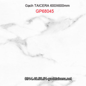 Gạch lát nền Taicera 60×60 GP68045