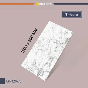 Gạch lát nền Taicera 60x120 GP12965