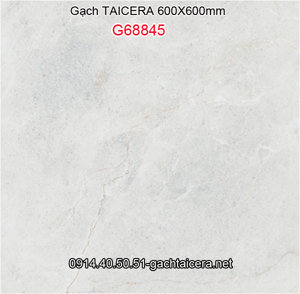 Gạch lát nền Taicera G68845