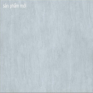 Gạch lát nền Taicera G68987 - 60x60