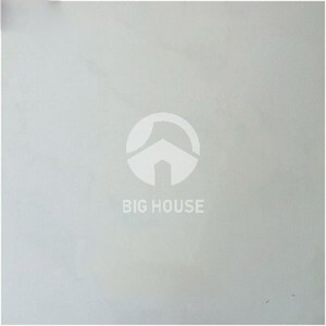 Gạch lát nền Taicera P67418N - 60x60