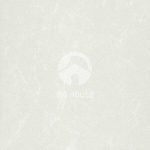 Gạch lát nền Taicera – P67762N (60x60)