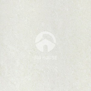 Gạch lát nền Taicera - P87702N (80x80)