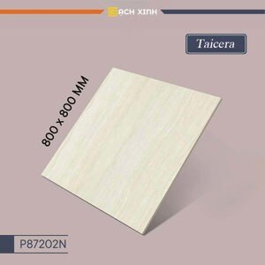 Gạch lát nền Taicera TKG P87202N