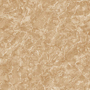 Gạch lát nền Tasa 6023 - 60x60