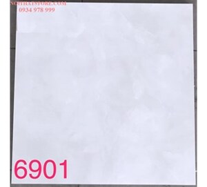 Gạch lát nền Tasa 60x60 BD6901