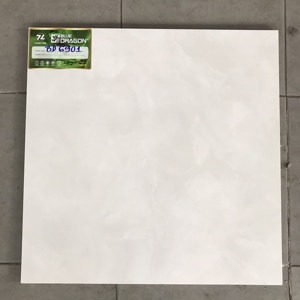 Gạch lát nền Tasa 60x60 BD6901