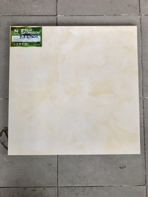 Gạch lát nền Tasa 60x60 BD6902