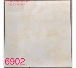 Gạch lát nền Tasa 60x60 BD6902