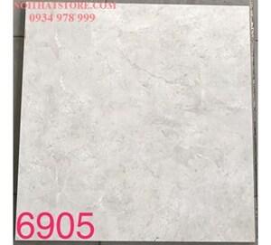 Gạch lát nền Tasa 60x60 BD6905