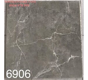 Gạch lát nền Tasa 60x60 BD6906