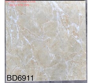 Gạch lát nền Tasa 60x60 BD6911