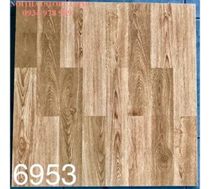 Gạch lát nền Tasa 60x60 BD6953